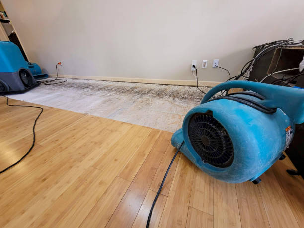 Professional Basement Flood Cleanup technician working in Daisetta, TX